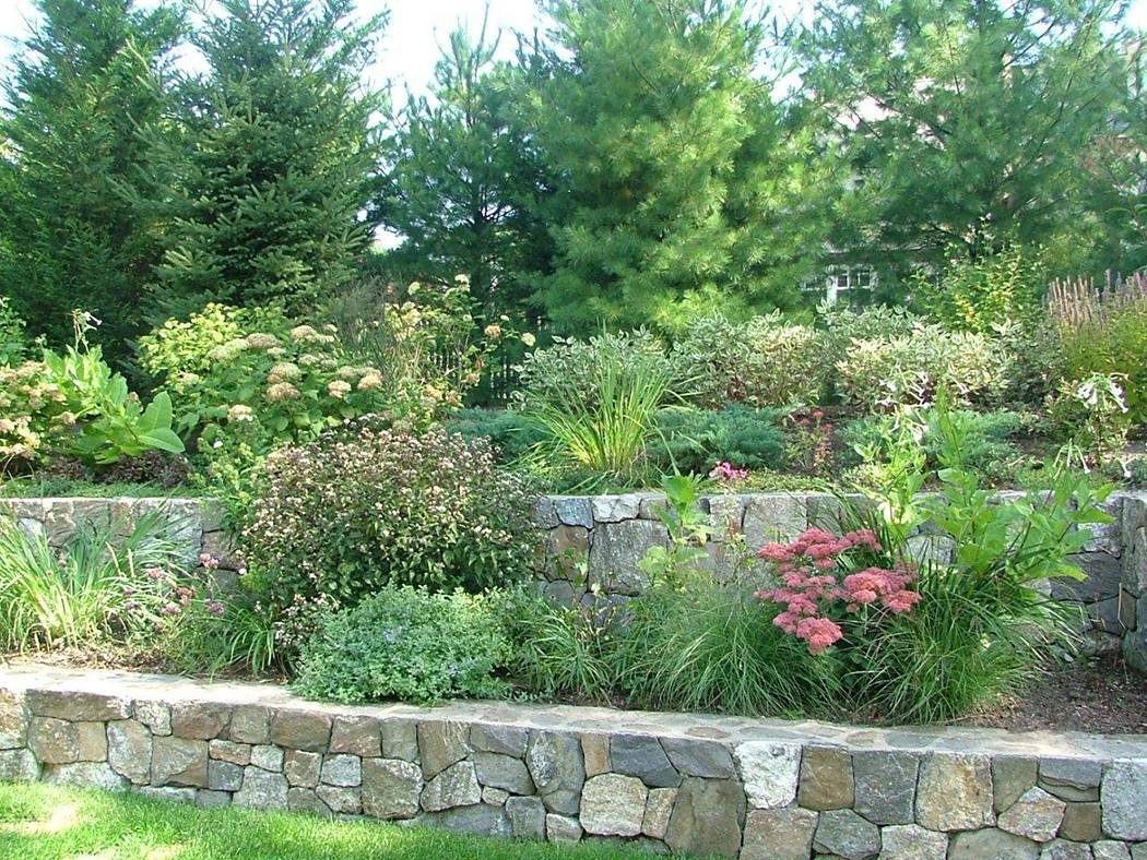 Backyard Wildlife Habitat Garden