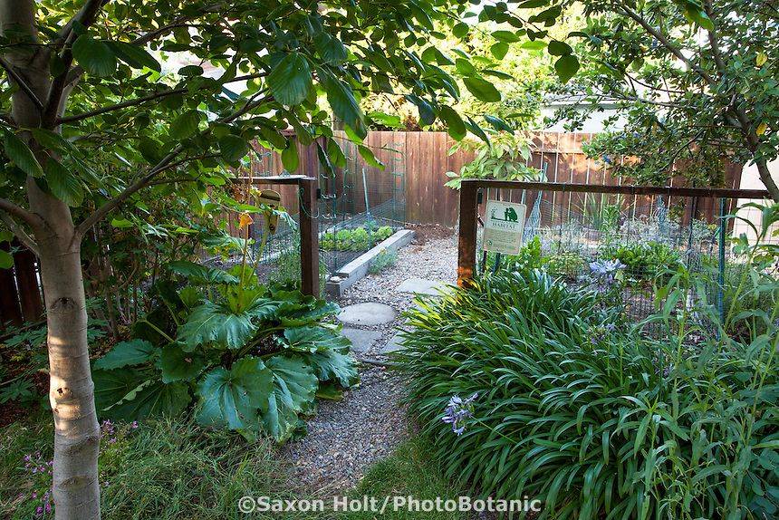 Rock Garden Ideas