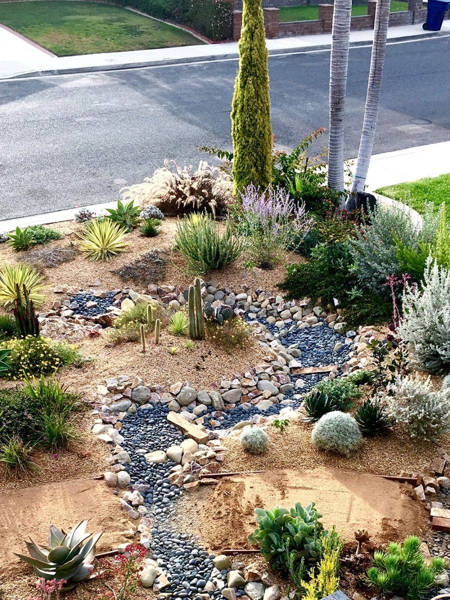 The Habitat Garden