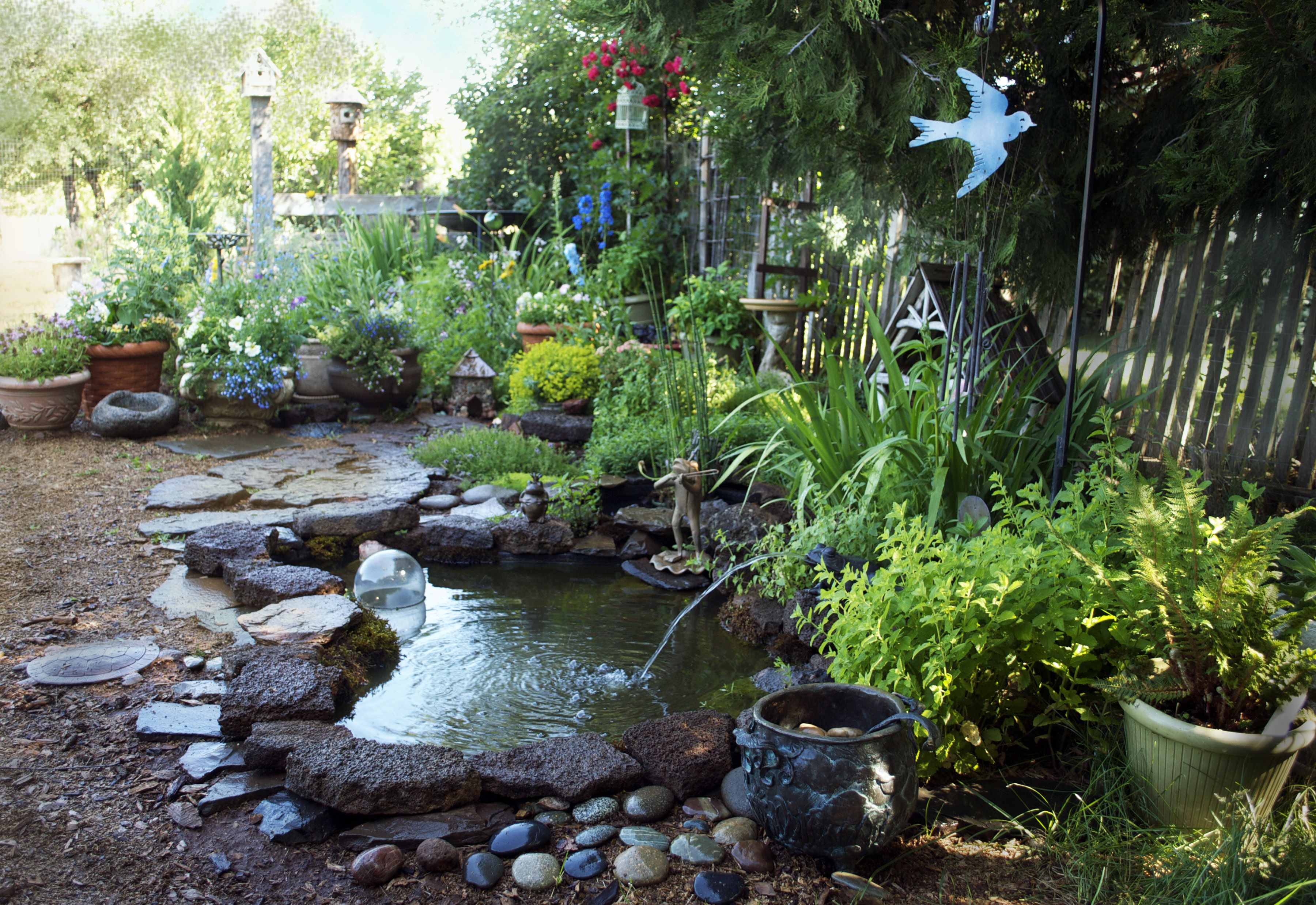 A Garden Toad Habitat Tutorial