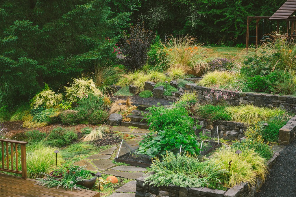 A Garden Toad Habitat Tutorial