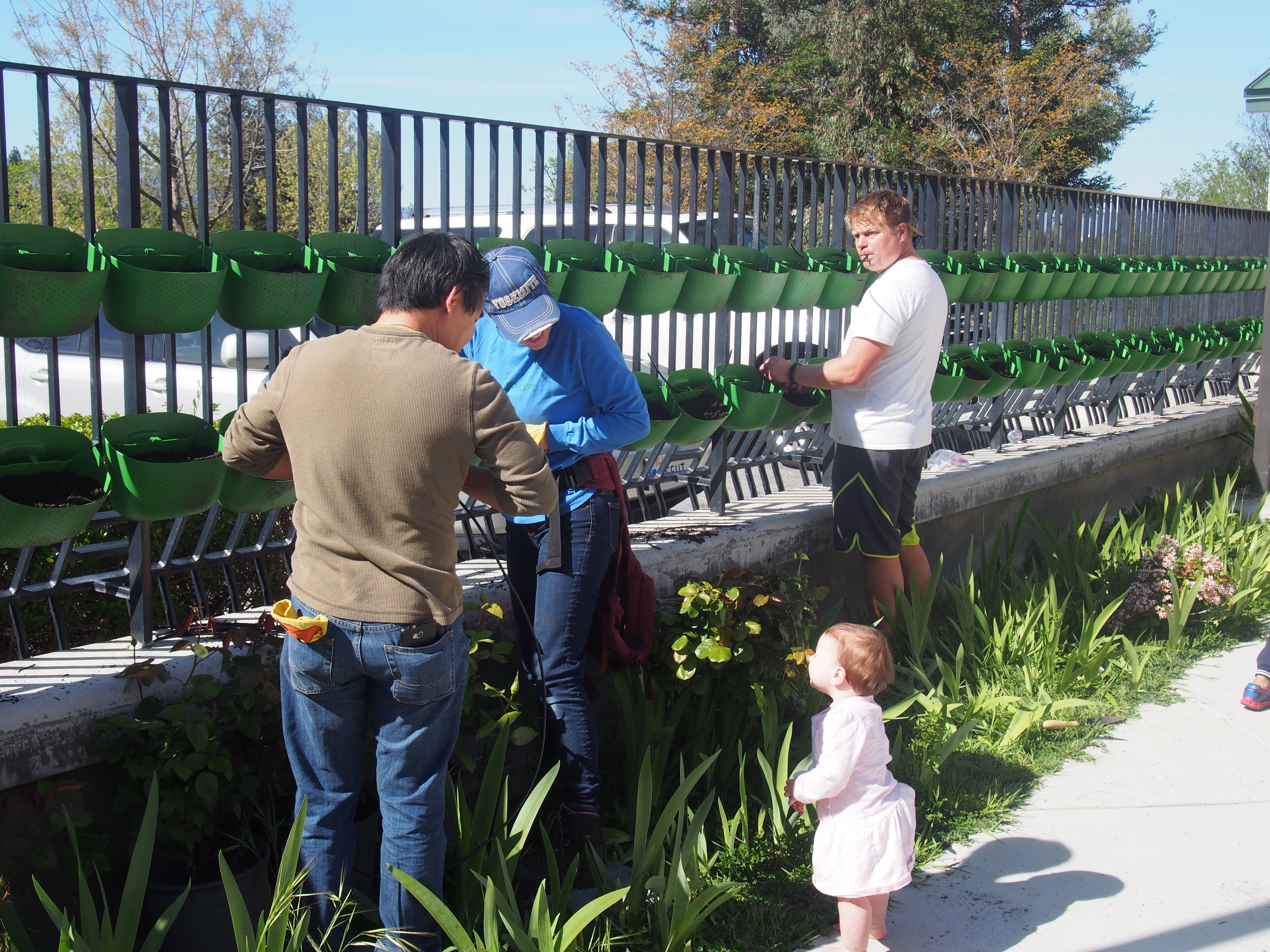 Sweet Simple School Garden Design Ideas Page