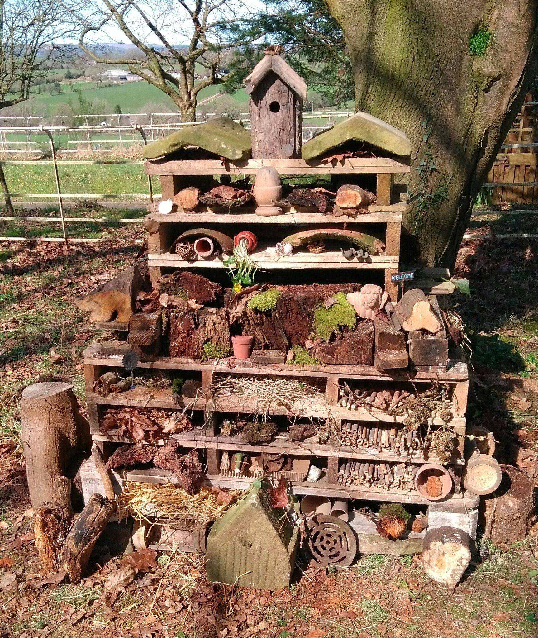 Your Own Bug Hotel