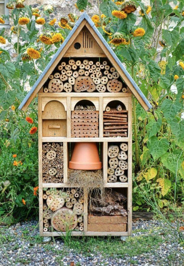 Organic Gardening Tips