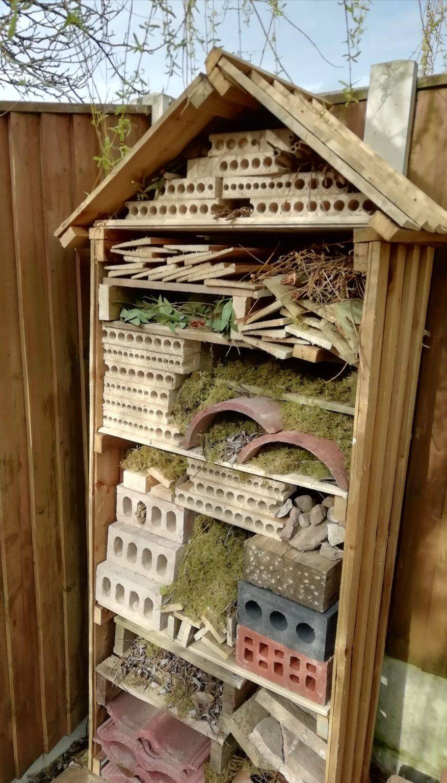 Organic Gardening Tips