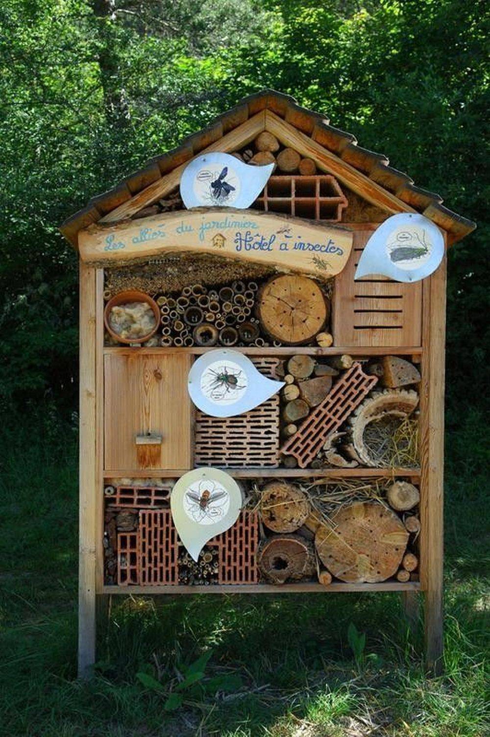 A Bug Hotel