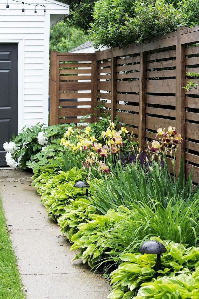 Backyard Privacy Landscaping Ideas