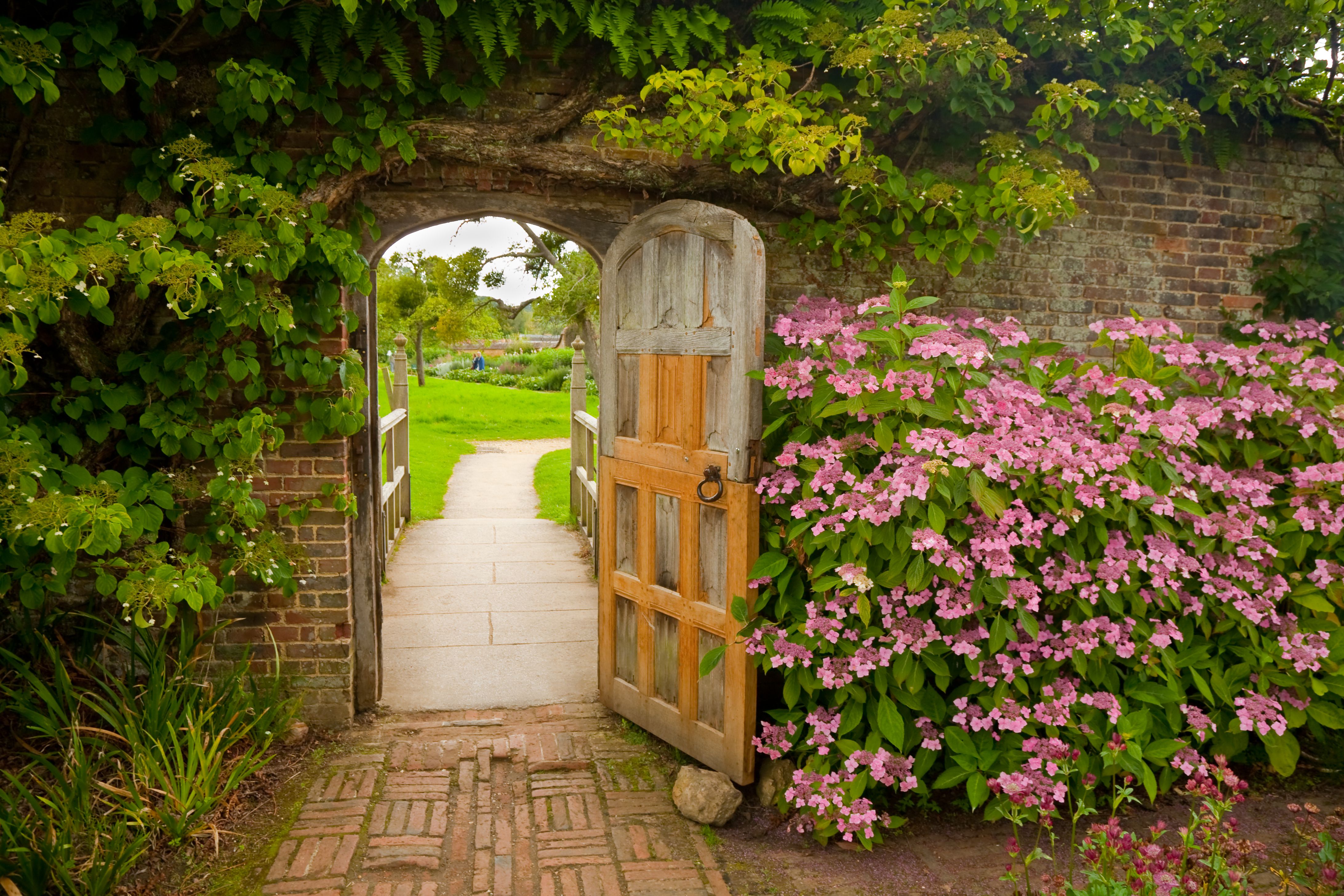 Awesome Diy Outdoor Privacy Screen Ideas