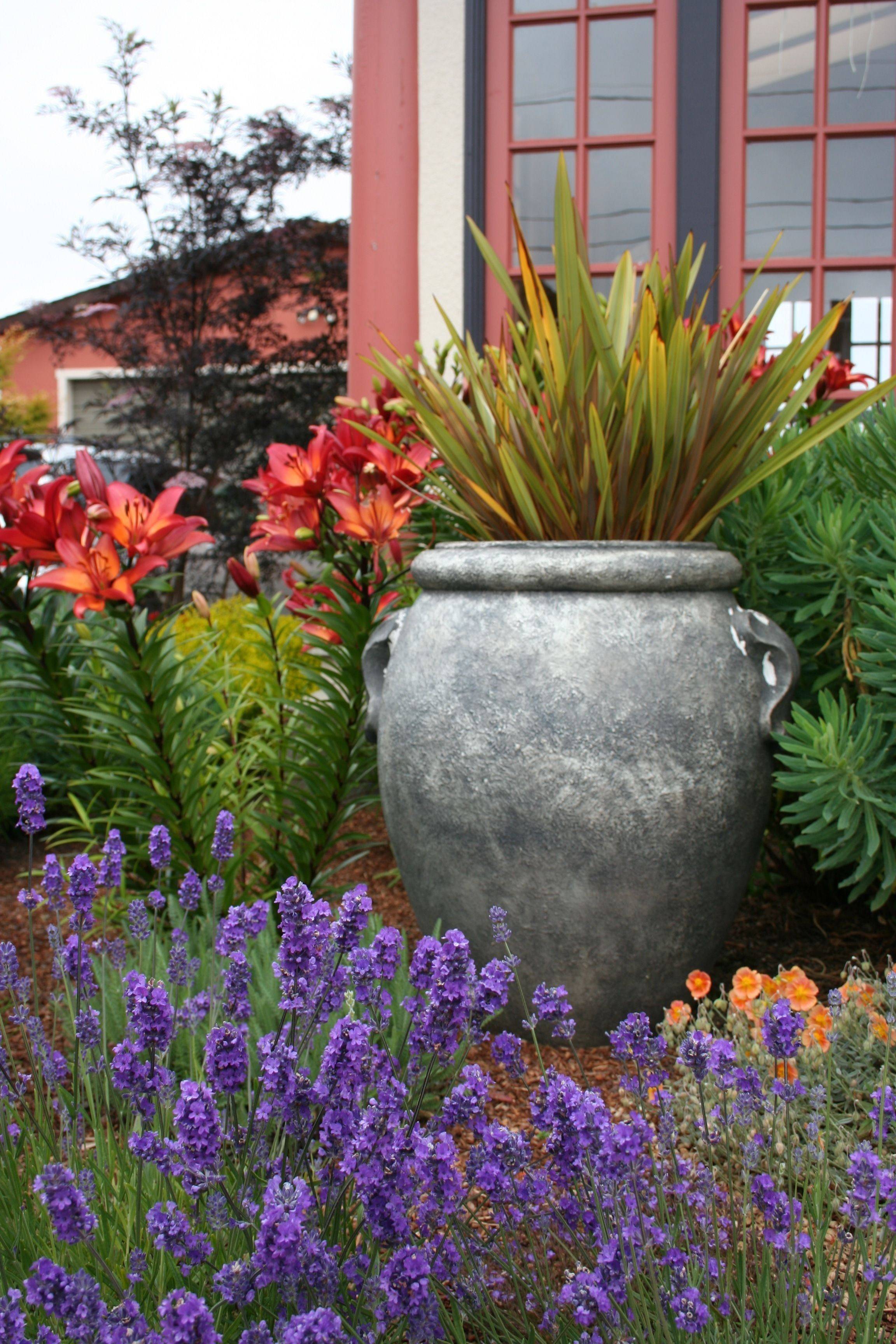 Small Mediterranean Garden Ideas