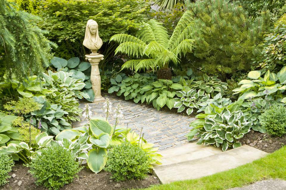 Mediterranean Garden Ideas