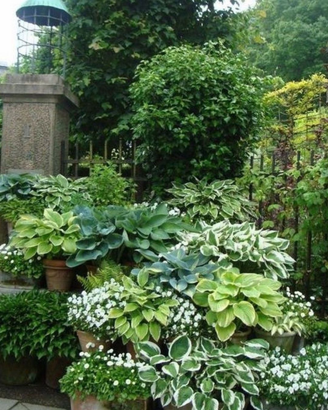 Mediterranean Garden