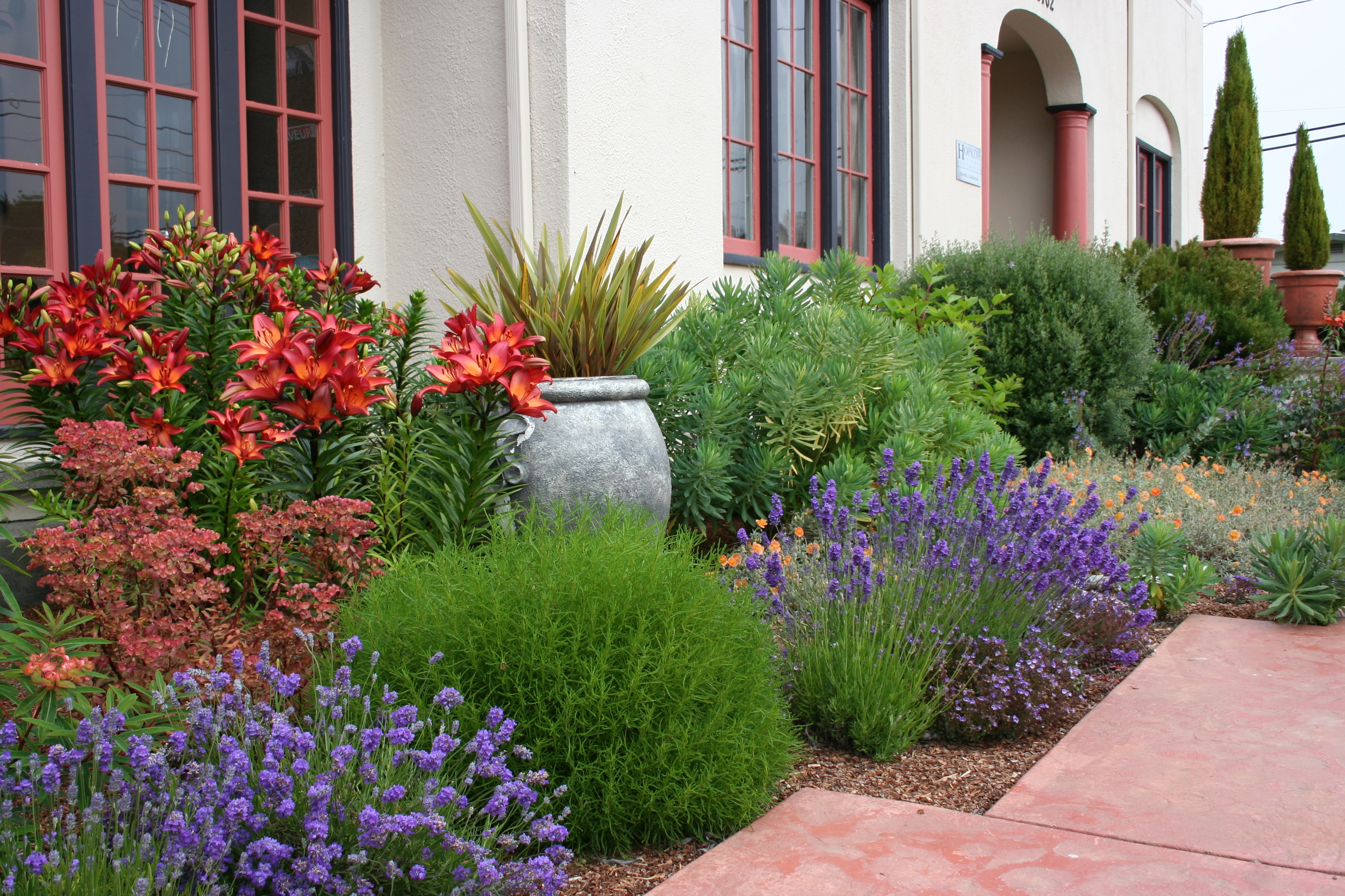 My Favorite Plant Combinations Mediterranean Garden