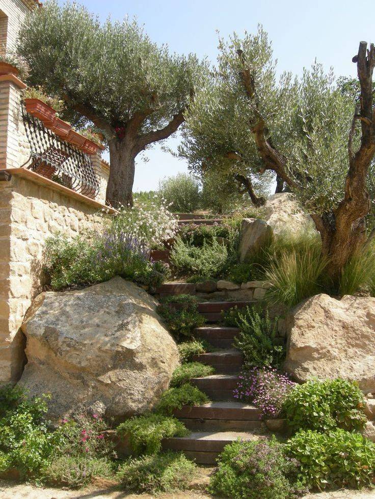 Stunning Mediterranean Side Garden Ideas