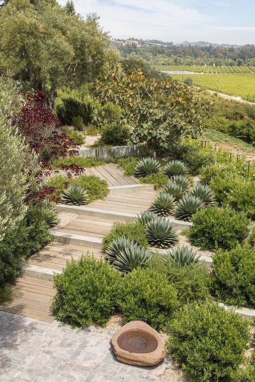 Modern Mediterranean Garden Landscaping Ideas