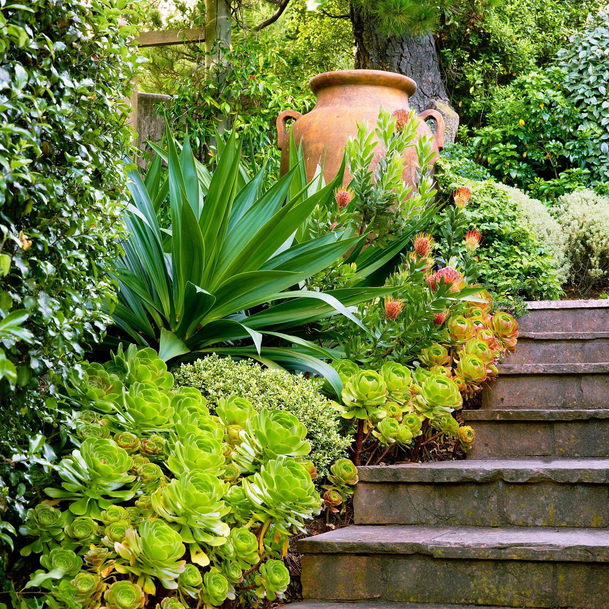 A Mediterranean Garden Design