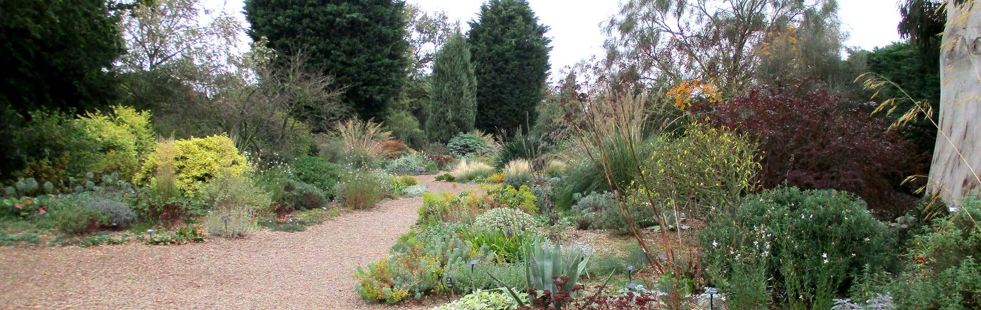Plantacin Patio