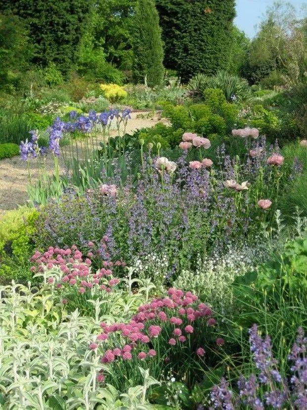 Mediterraneanclimate Gardening Mediterranean Garden Design