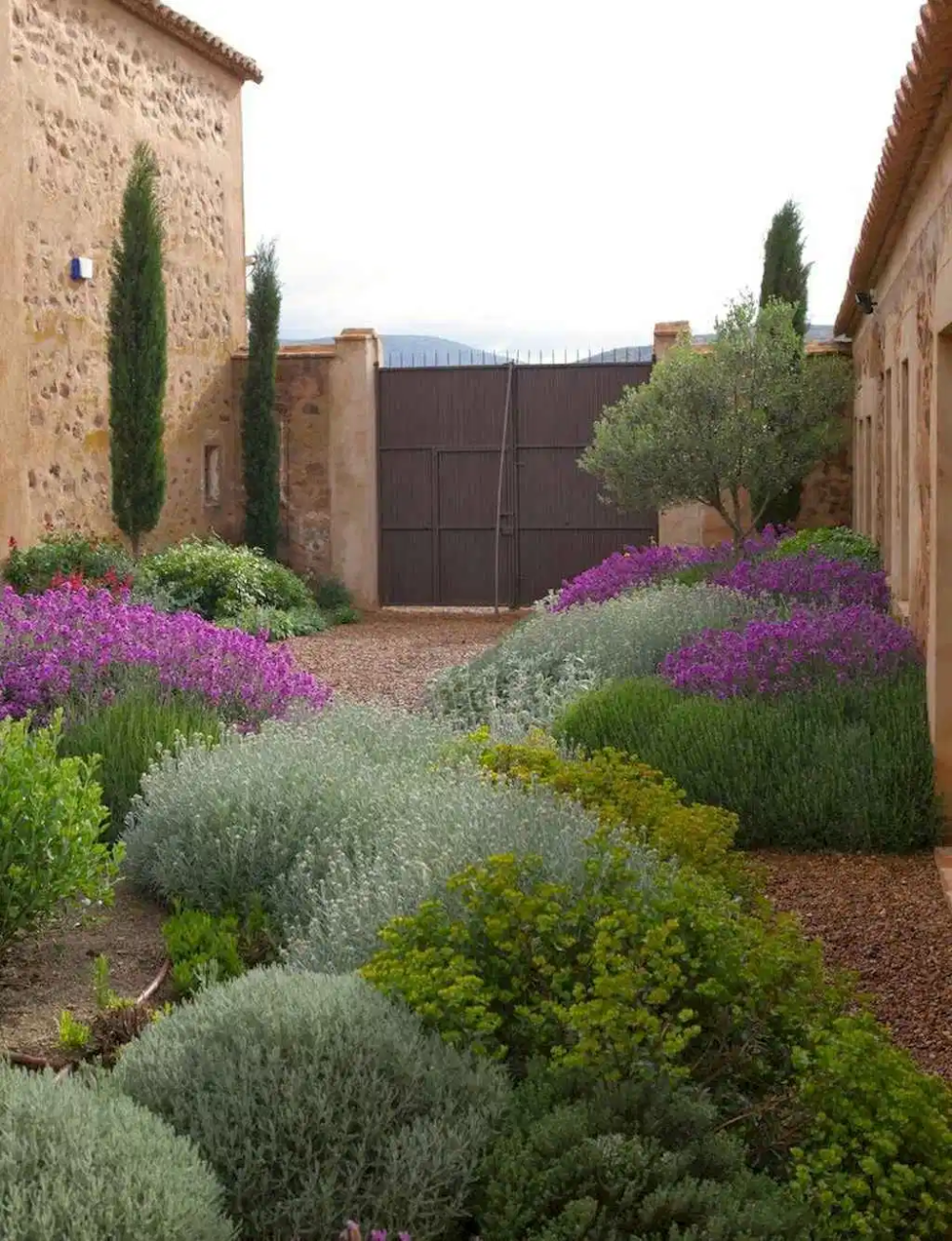 Mediterranean Dry Garden Planting Mediterranean Landscaping
