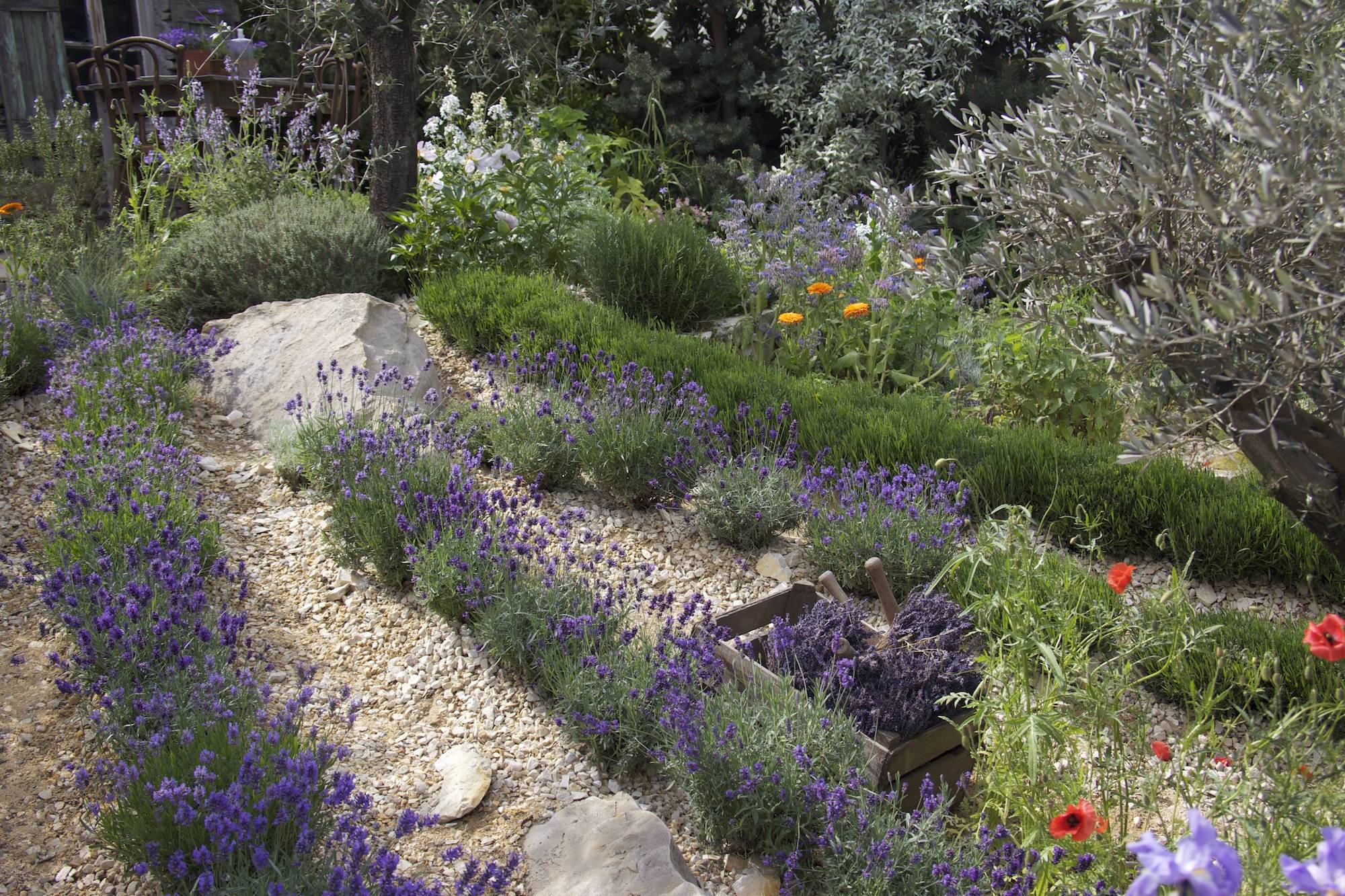 Ideas Design Trends Premium Psd