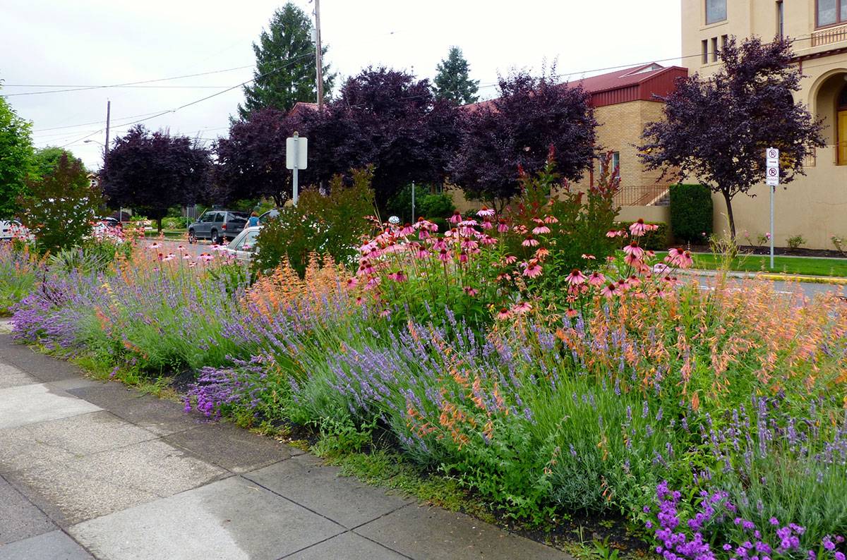 Low Maintenance Front Yard Landscaping Ideas