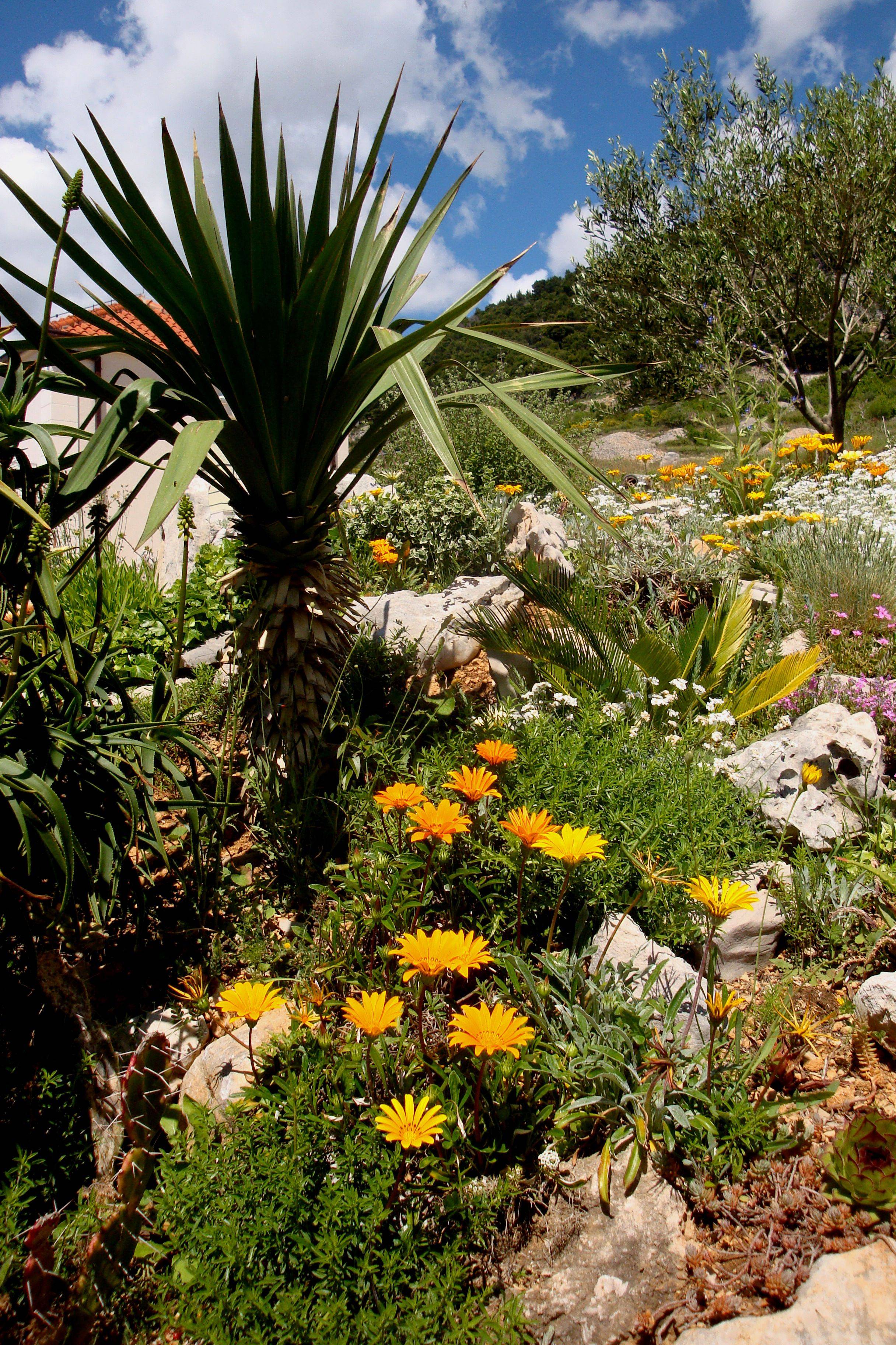 Mediterranean Garden Ideas