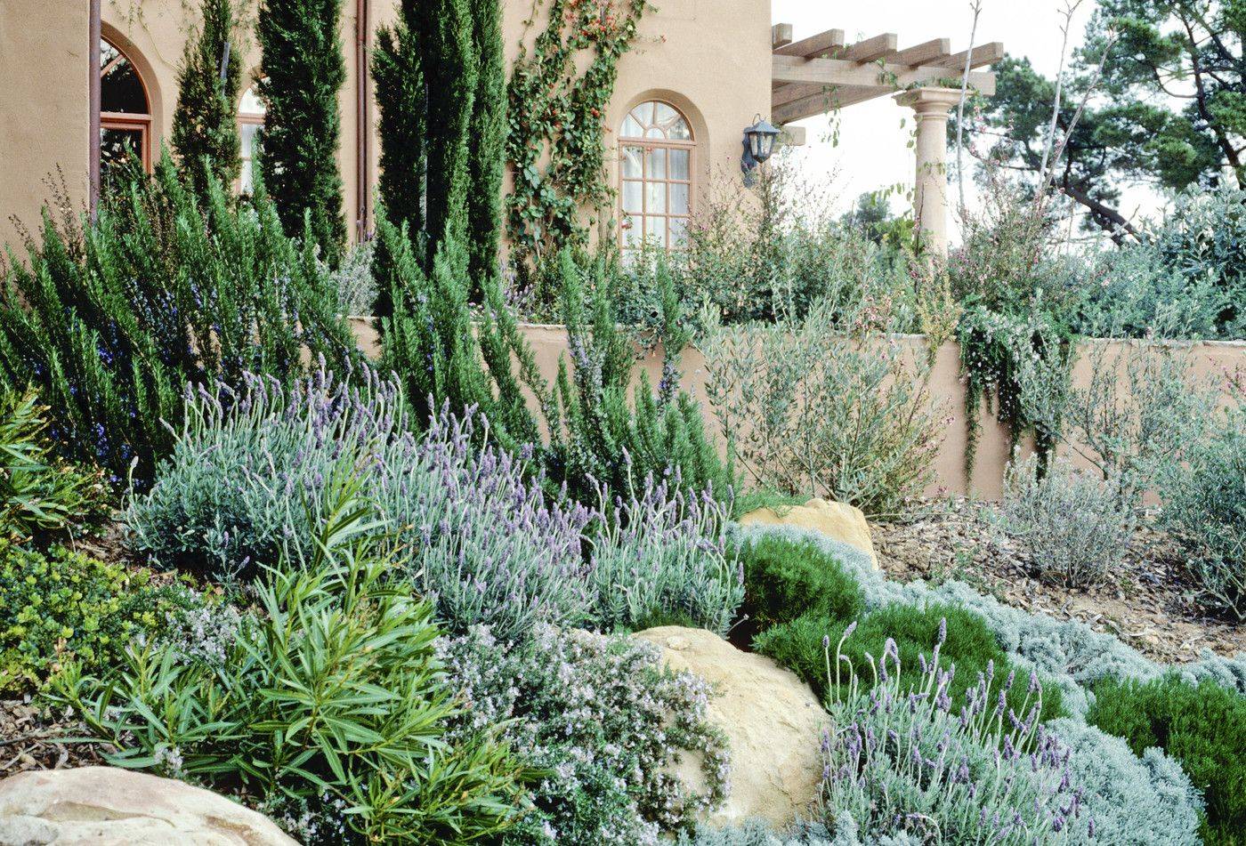 Mediterranean Gravel Garden