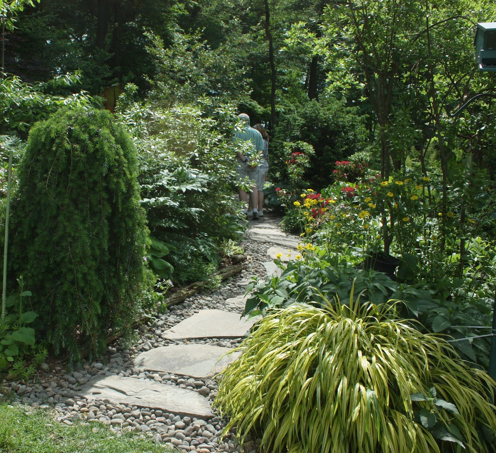 Our Planting And Design Tips