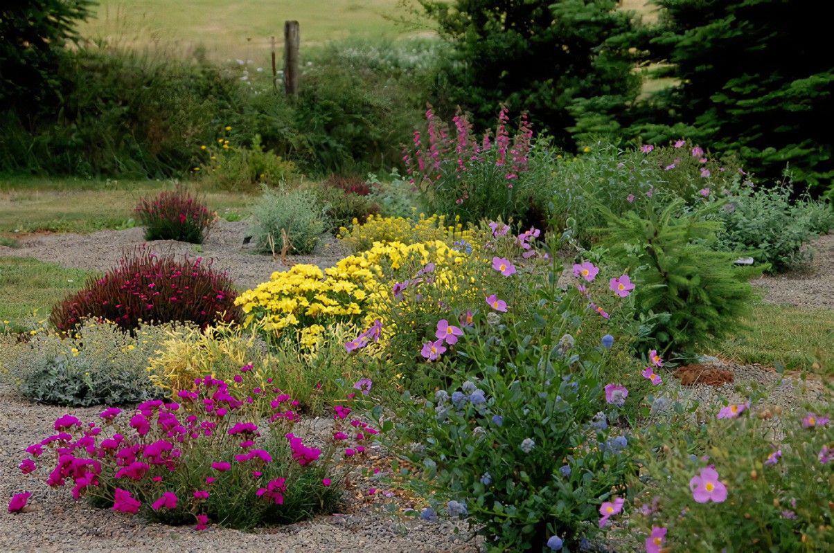 Sunny Landscape Ideas