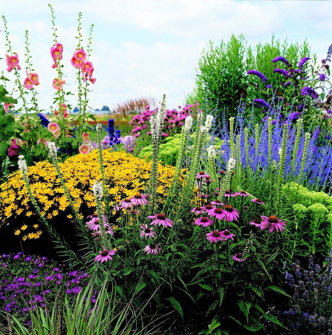 Perennial Garden Design Ideas