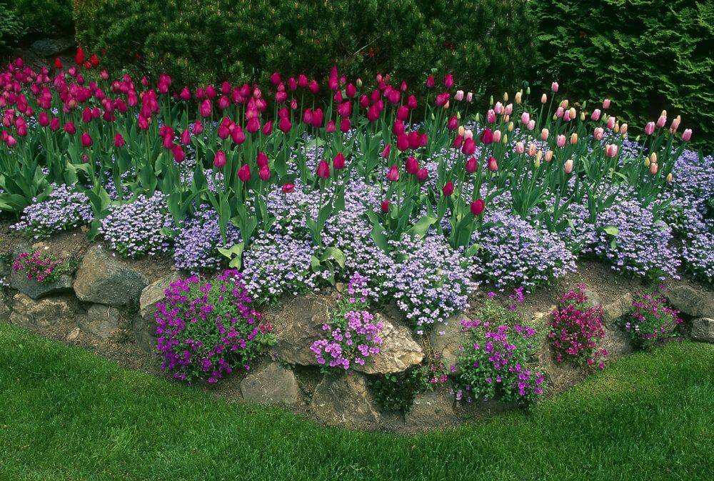 Sunny Perennial Garden Perennial Garden Plans