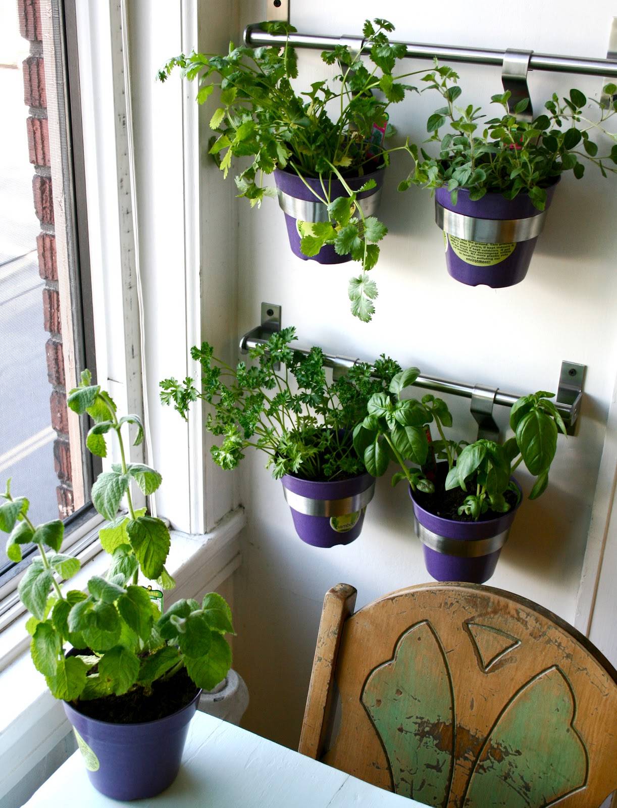 Amazing Indoor Kitchen Herb Gardens
