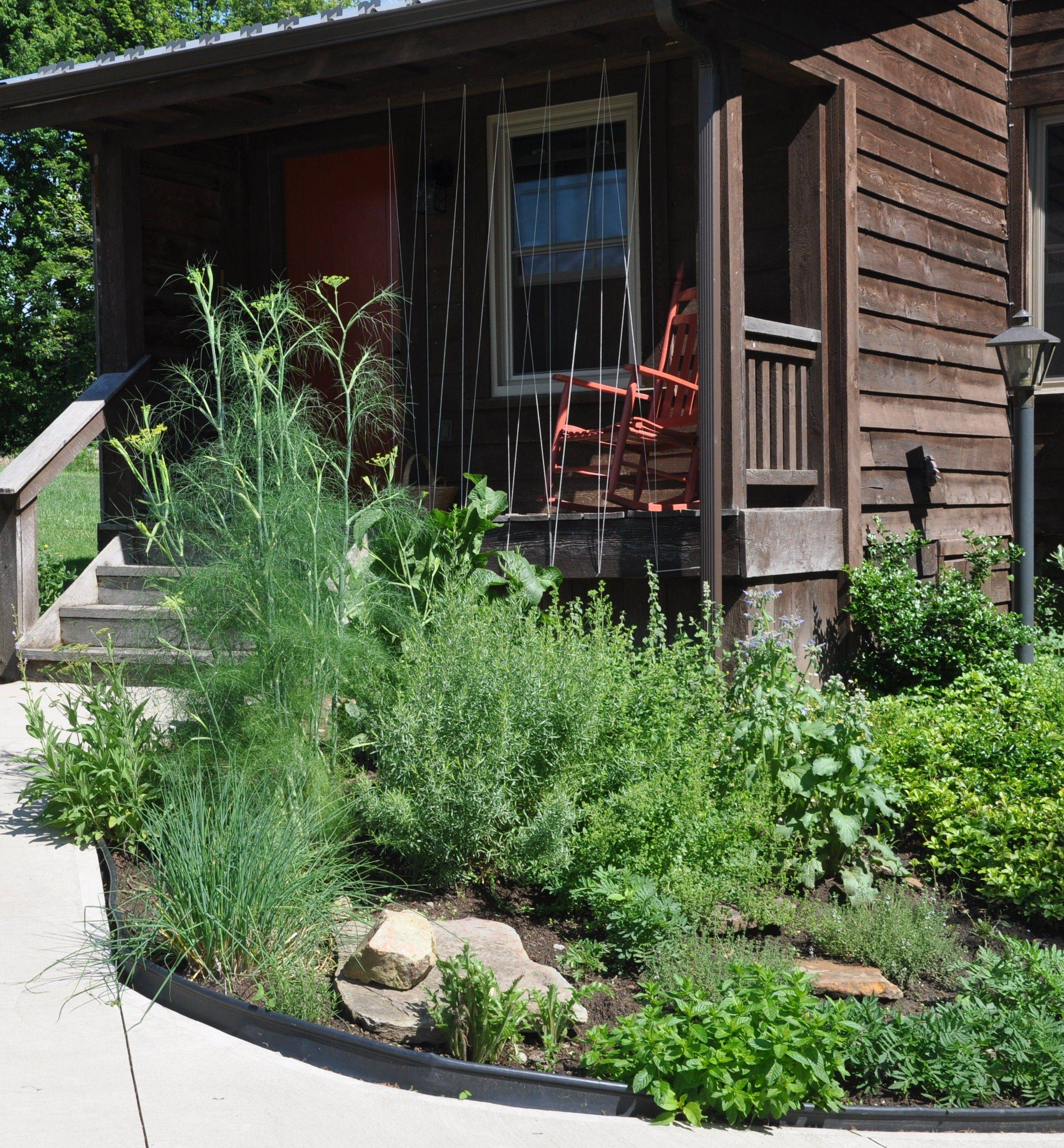 Amazing Herb Garden Design Ideas