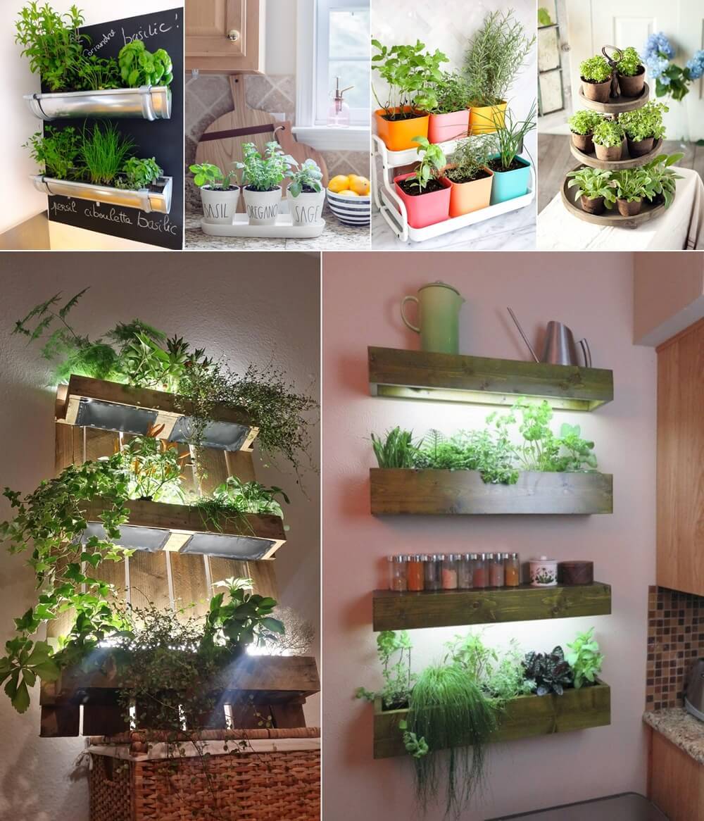 Kitchen Herb Garden Ideas Fit