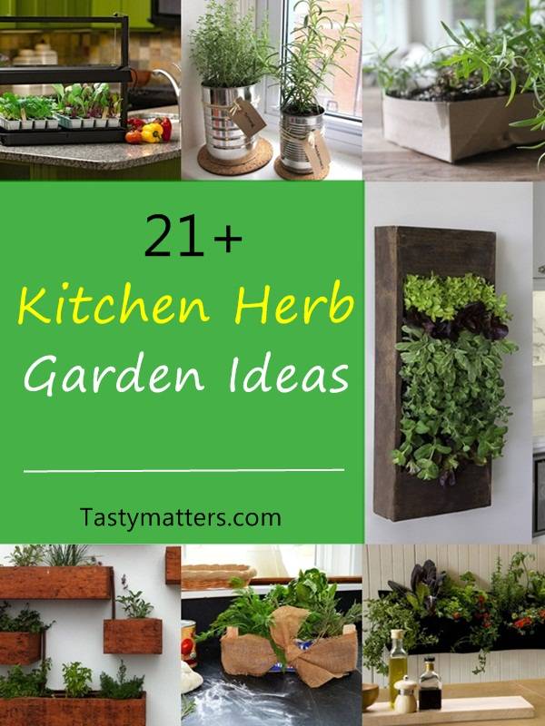 Best Herb Garden Ideas
