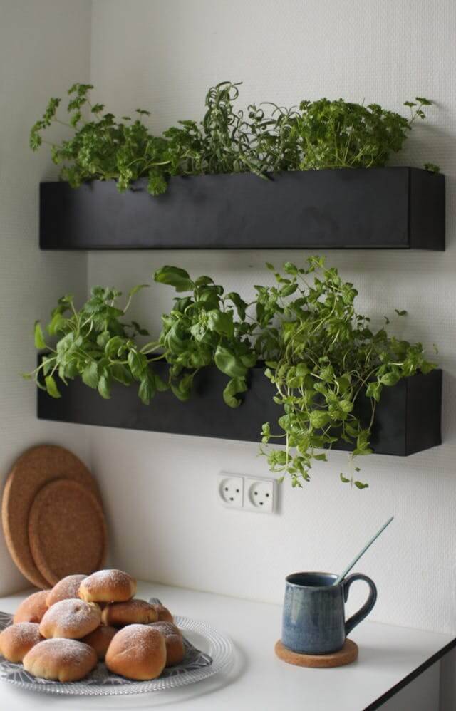 Herb Garden Indoor Ideas Page