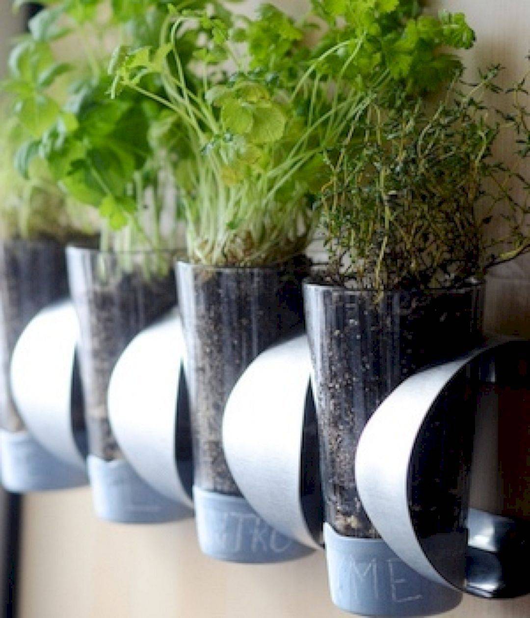 Fresh Kitchen Herbs