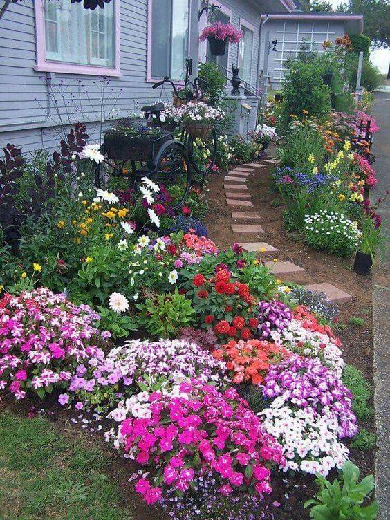 Stunning Full Sun Front Yard Landscaping Pictures