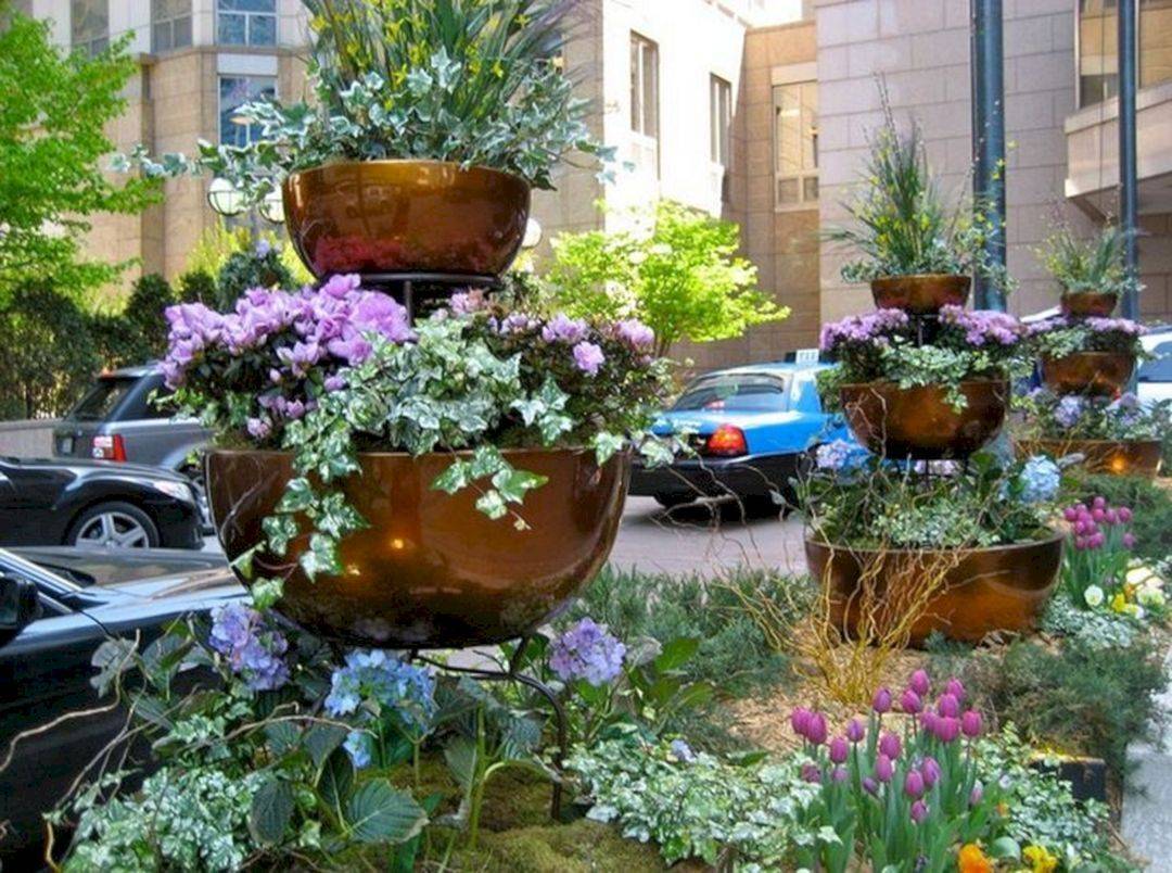 24 Full Sun Garden Plants Ideas To Try This Year SharonSable