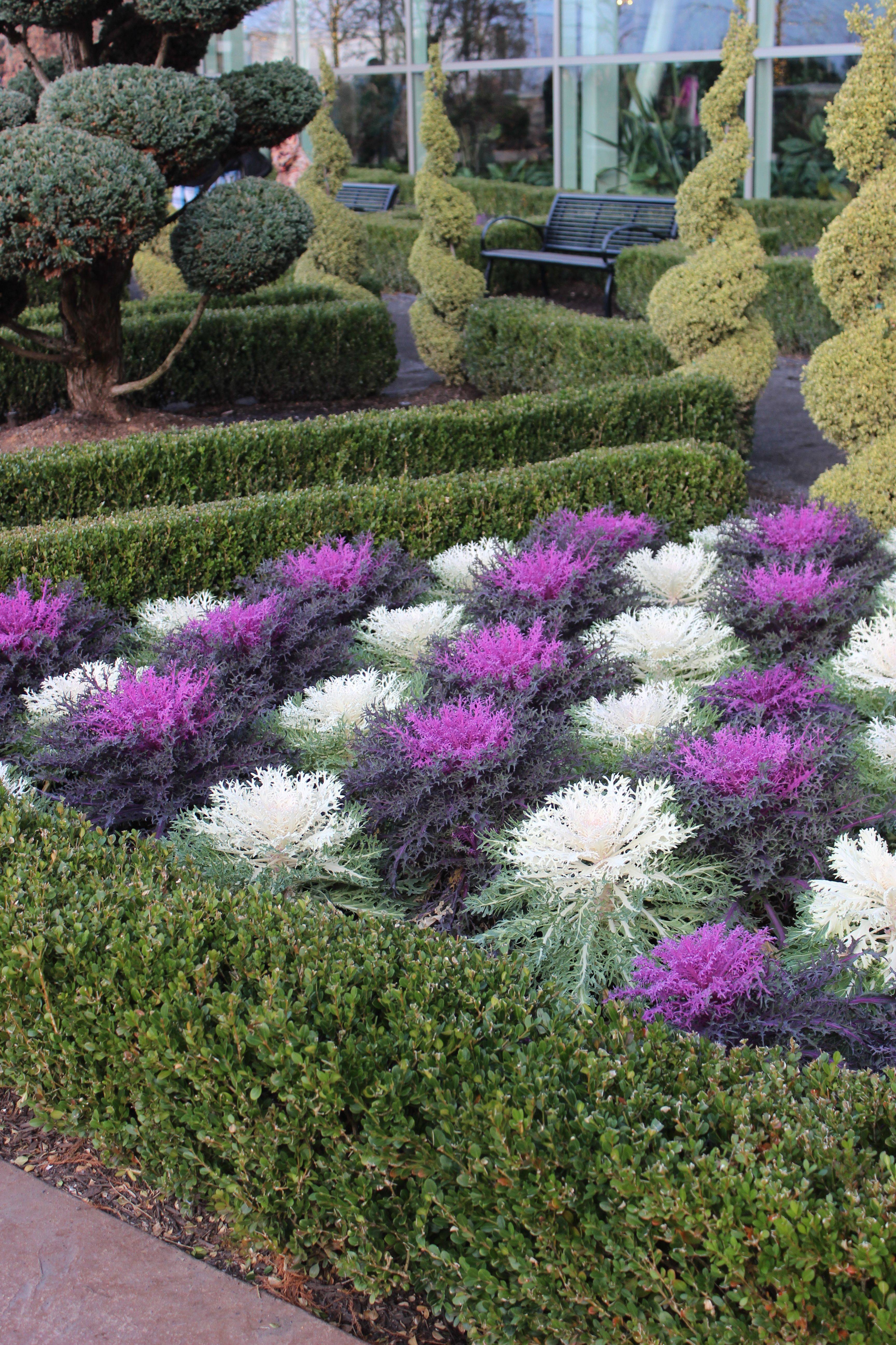 Full Sun Container Plants Ideas Container Gardening Flowers