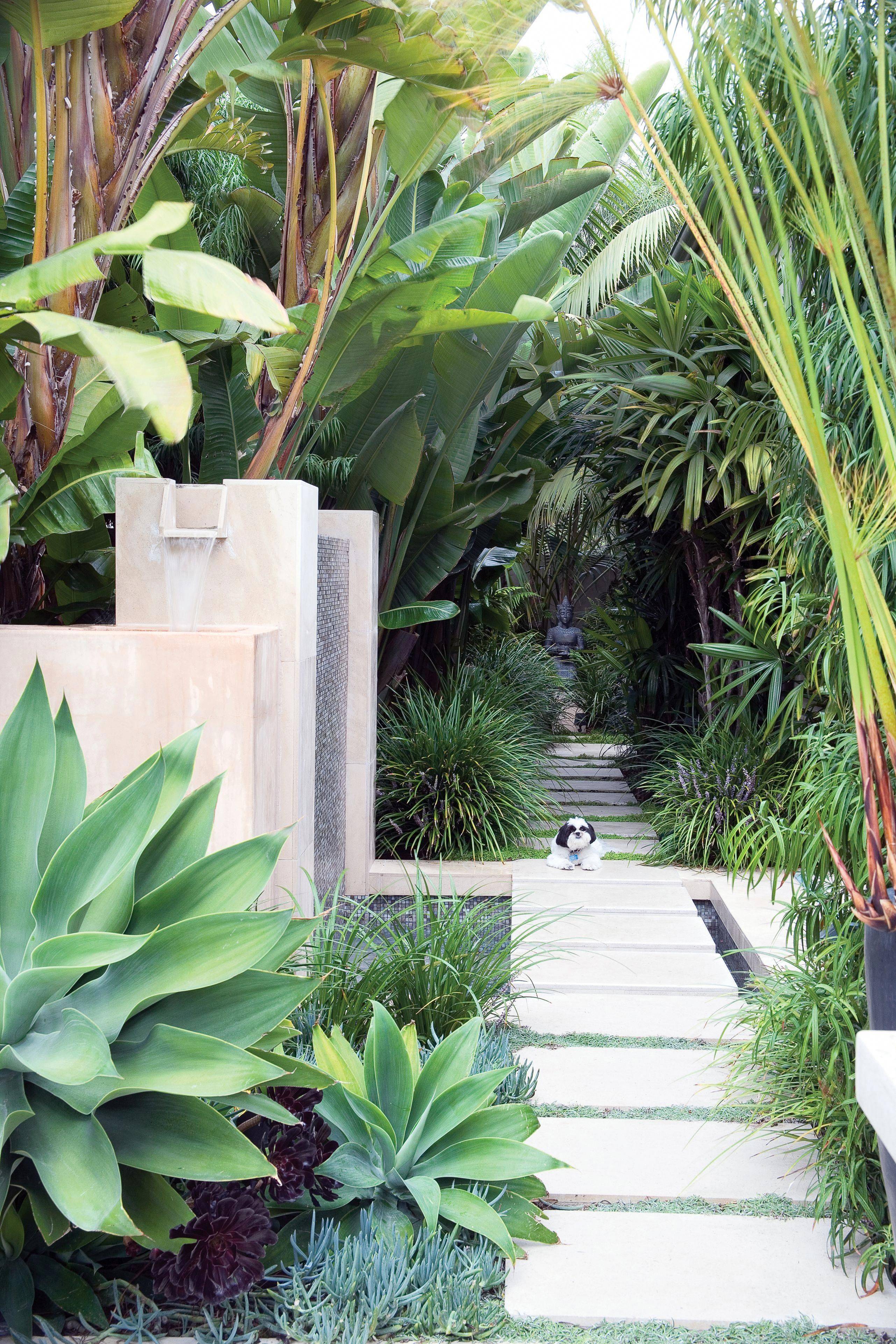 Small Tropical Backyard Ideas Simphome