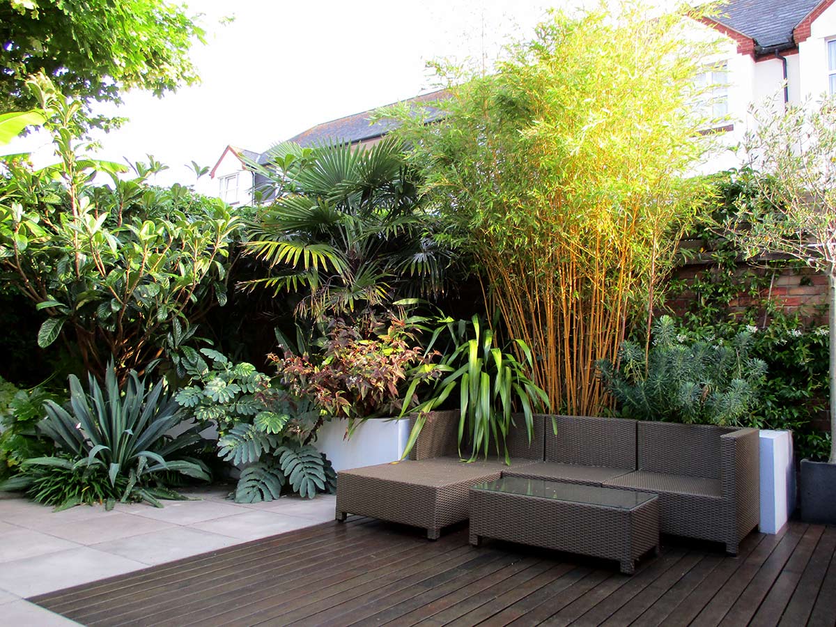 A Tropical Garden