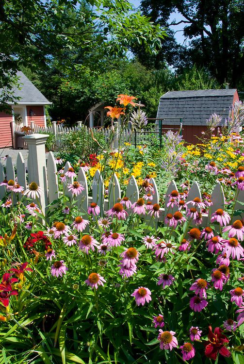 Sunny Garden Designs Perennial Flower Garden