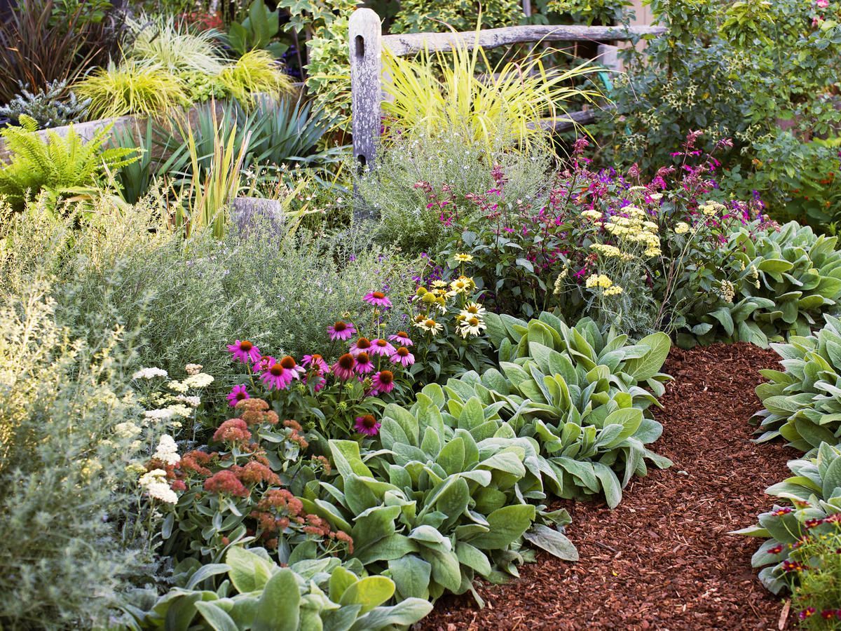 Sunny Perennial Garden Bed