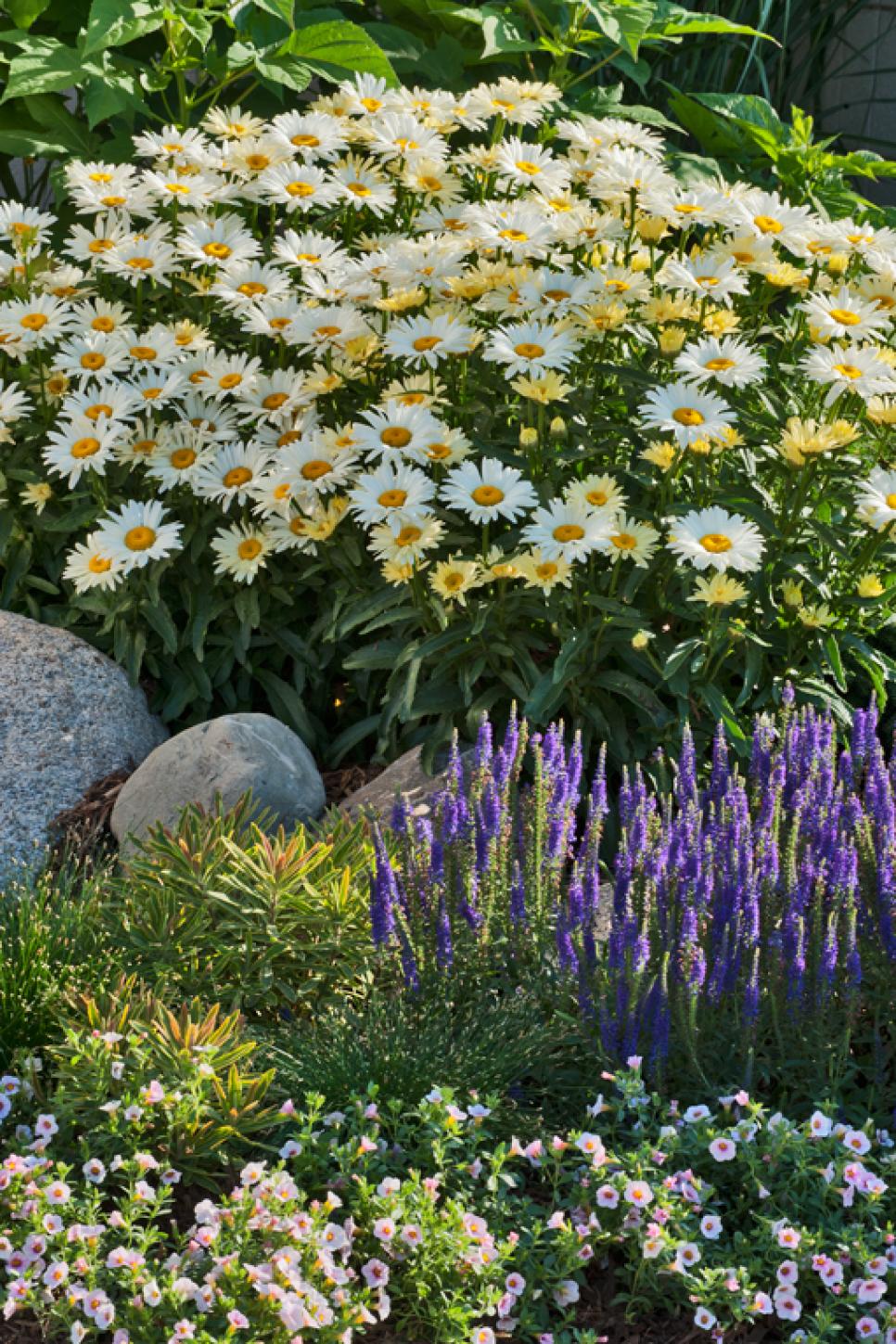 Perennial Garden Ideas Hgtv
