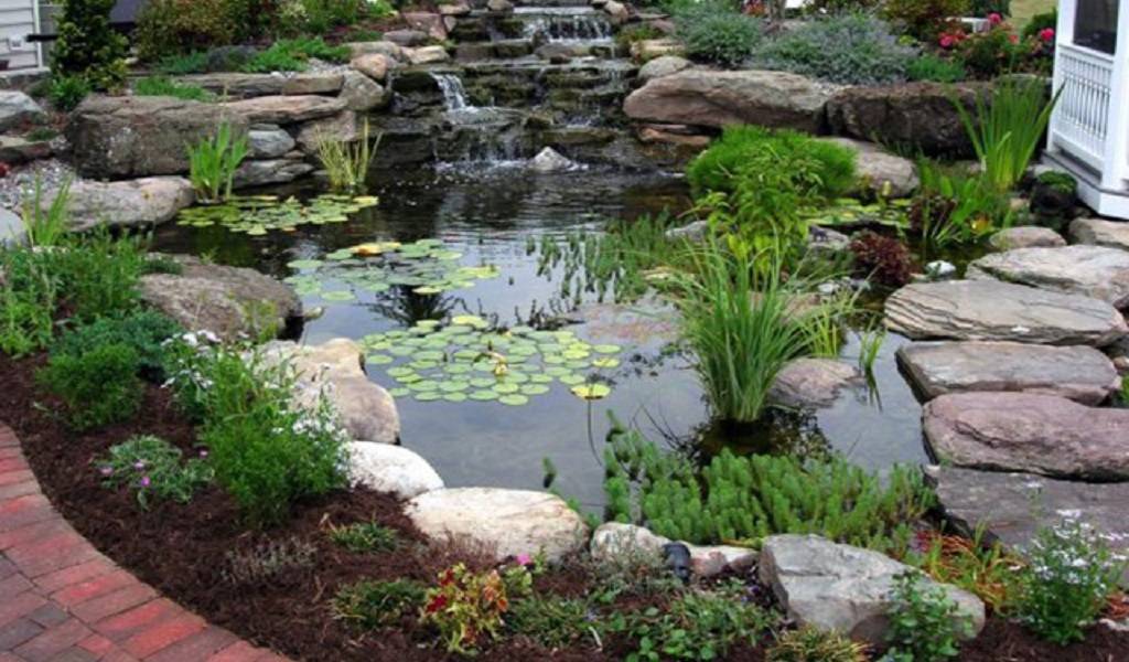 Backyard Pond Ideas