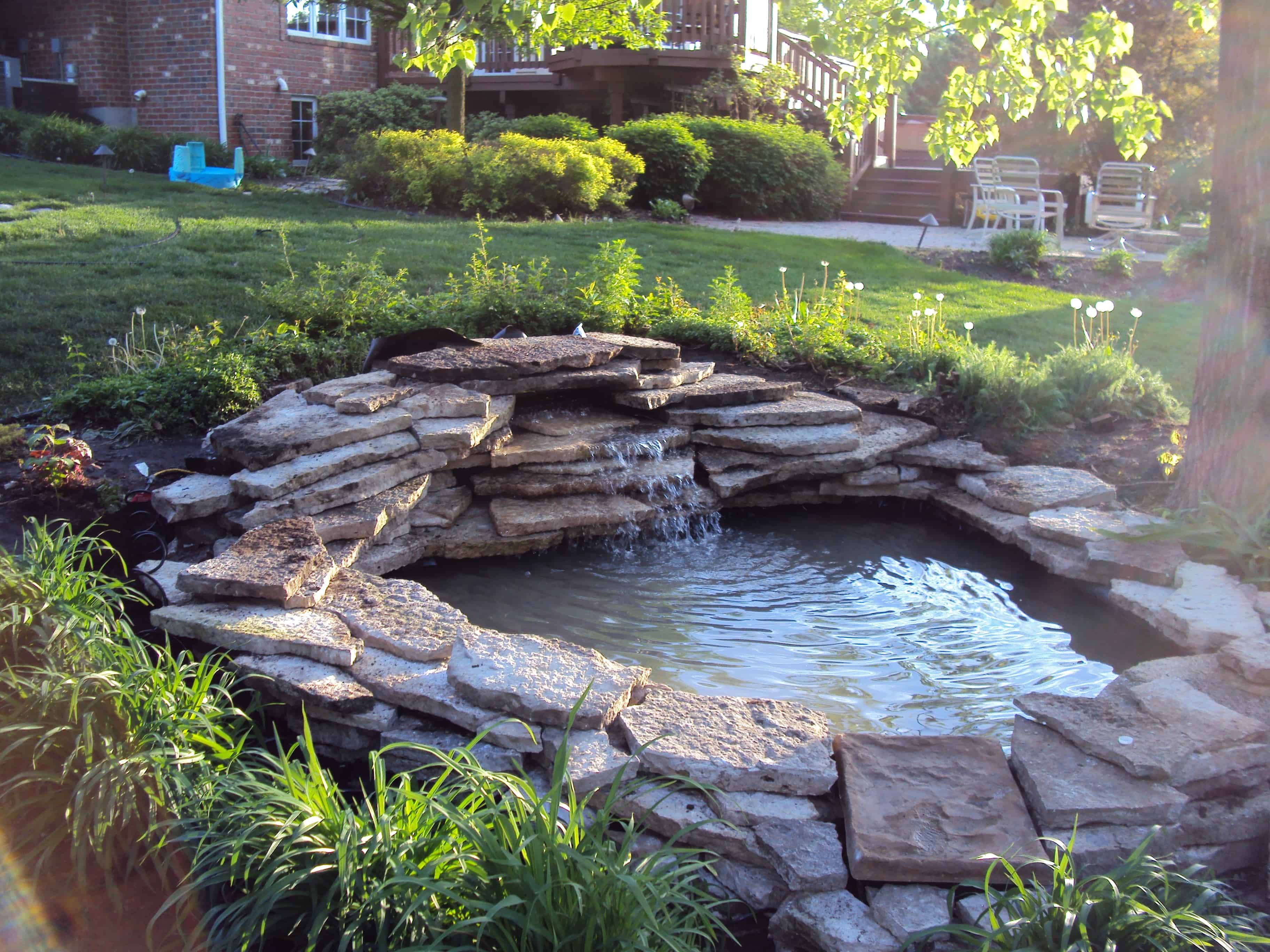 Backyard And Garden Pond Designs