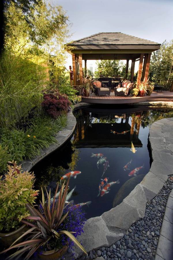 Ground Patio Pond Backyard Summer Small Fish