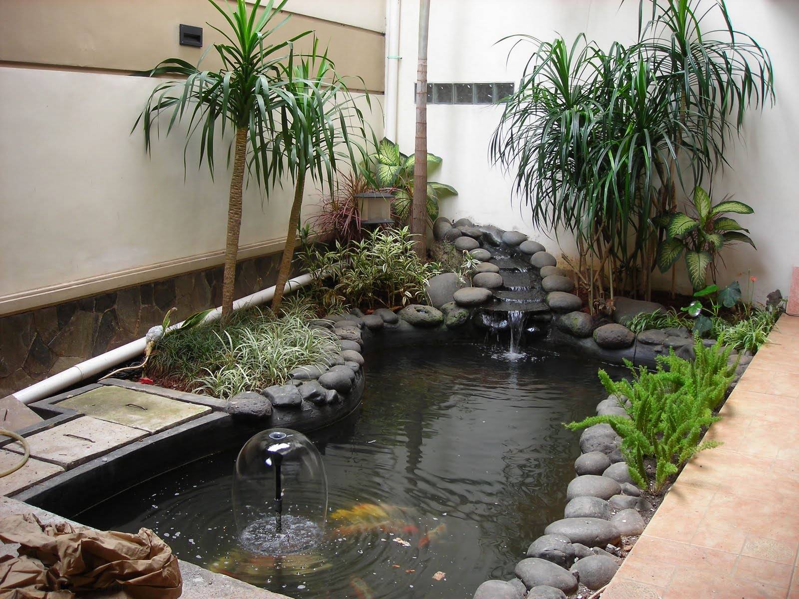 Fish Pond In Garden Backyard Design Ideas