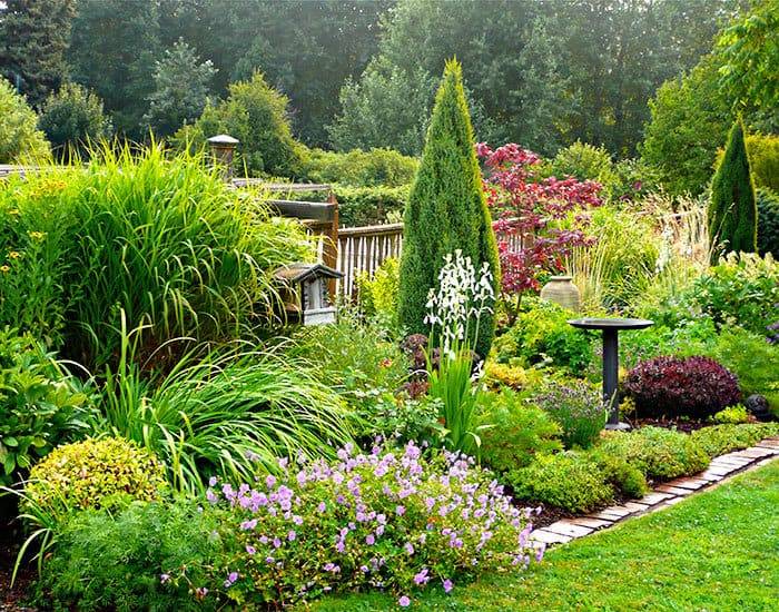 Privacy Landscaping