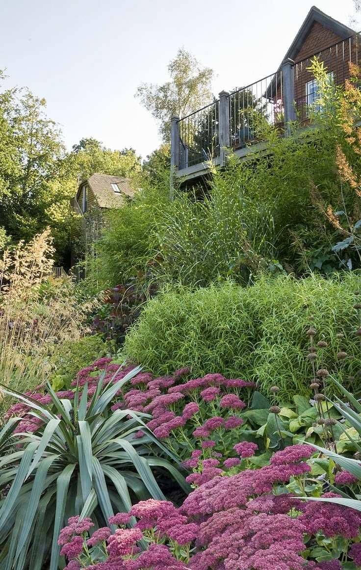 Yard Steep Slope Garden Design